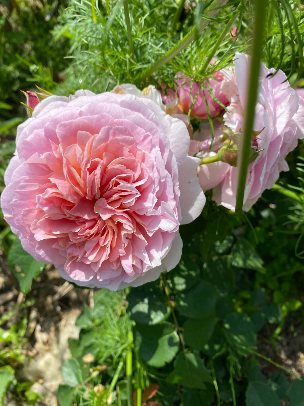 Es gibt keinen Planet&nbsp;B