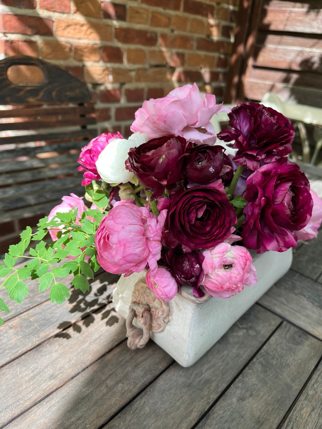 Faszination Ranunkeln